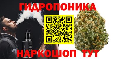 шишки Ипатово