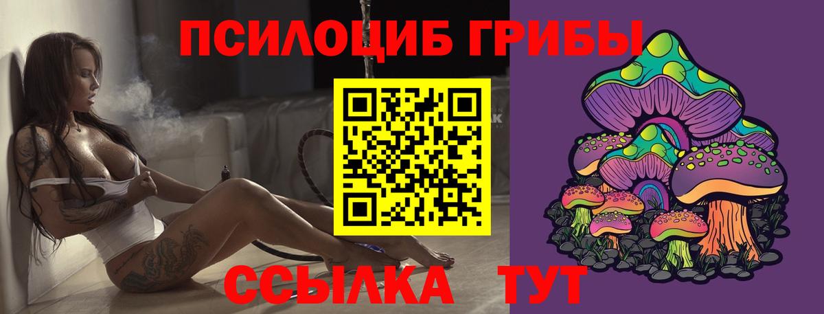 наркошоп  Псилоцибиновые грибы мухоморы  Вход с VPN  Лесосибирск 